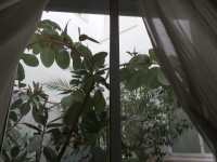 /album/letnyaya-arenda-kvartira-2-spalni-more-na-rasstoyanii-200-m-sdaetsya-po-tsene-350-e-nedelya-/p5090953-jpg/